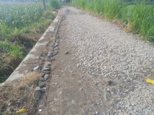 Proyek Jalan di Dusun Krajan Diduga Asal Jadi, Batu Bahu Tak Digali Sesuai Aturan