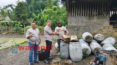 Cek Kesiapan Sarana Produksi, Perhutani KPH Bondowoso Optimalkan Kayu dan Getah Pinus 2026